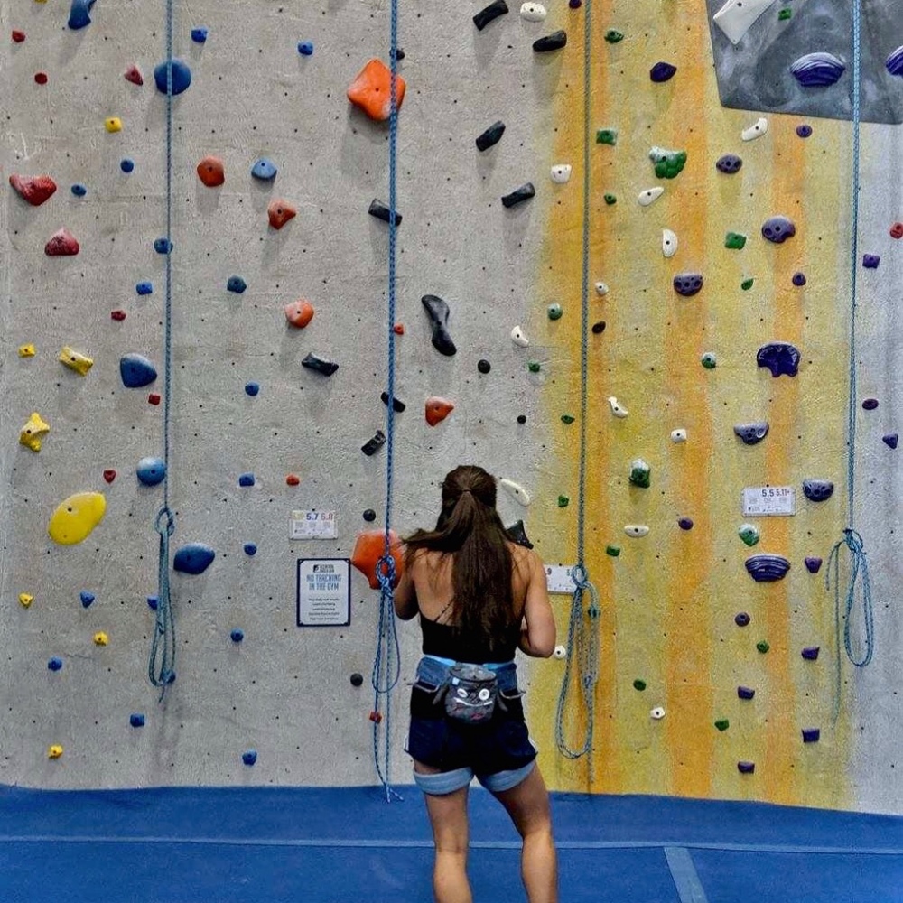 Meet your Posher, Riley - Picture 1 of 1